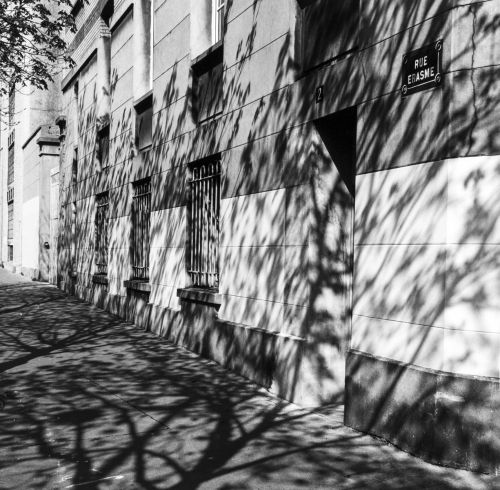 Urbane