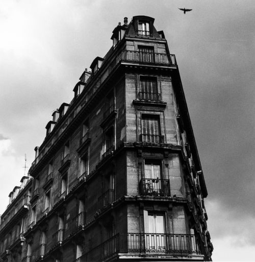 Urbane