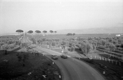 transit con auto