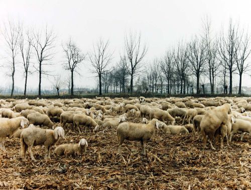 Archivio dello spazio Lombardia